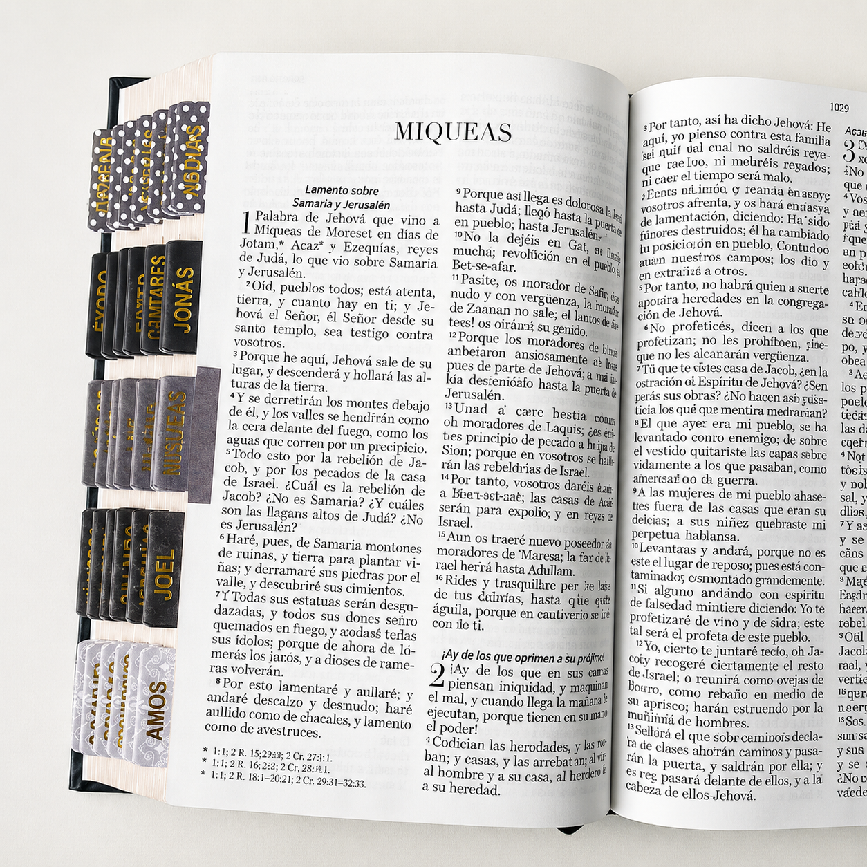Biblia PERSONALIZADA León Deluxe Reina Valera 1960 Letra GRANDE con Liga