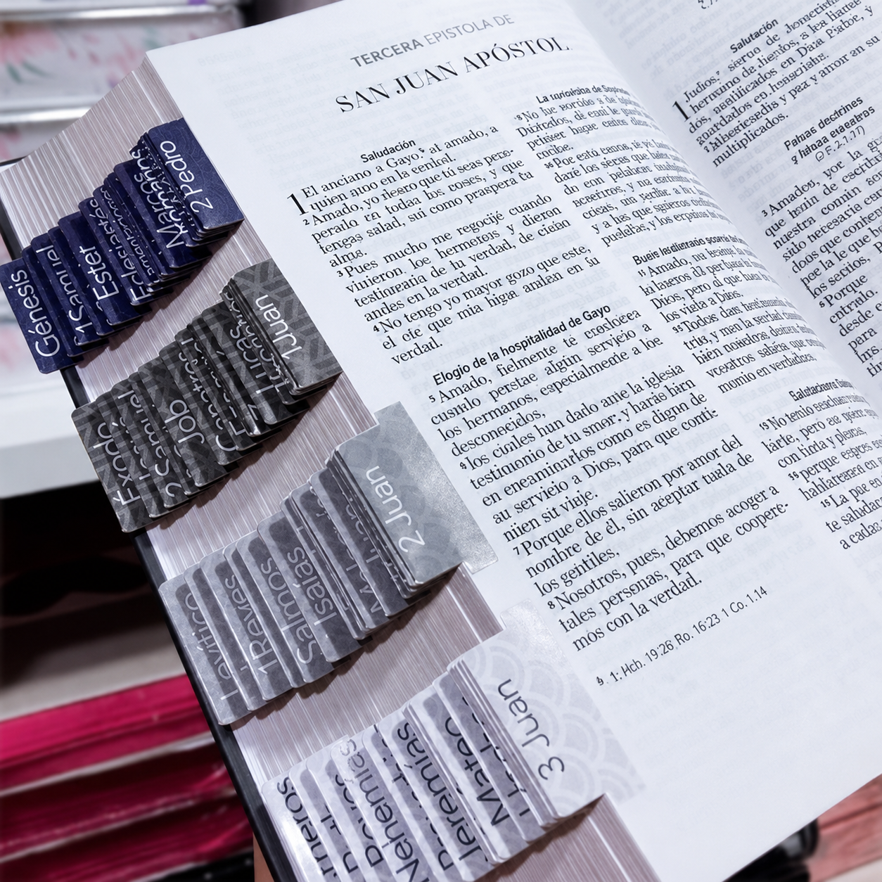 Biblia PERSONALIZADA León Deluxe Reina Valera 1960 Letra GRANDE con Liga