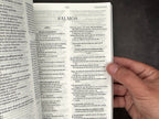 Biblias Economica RVR 1960