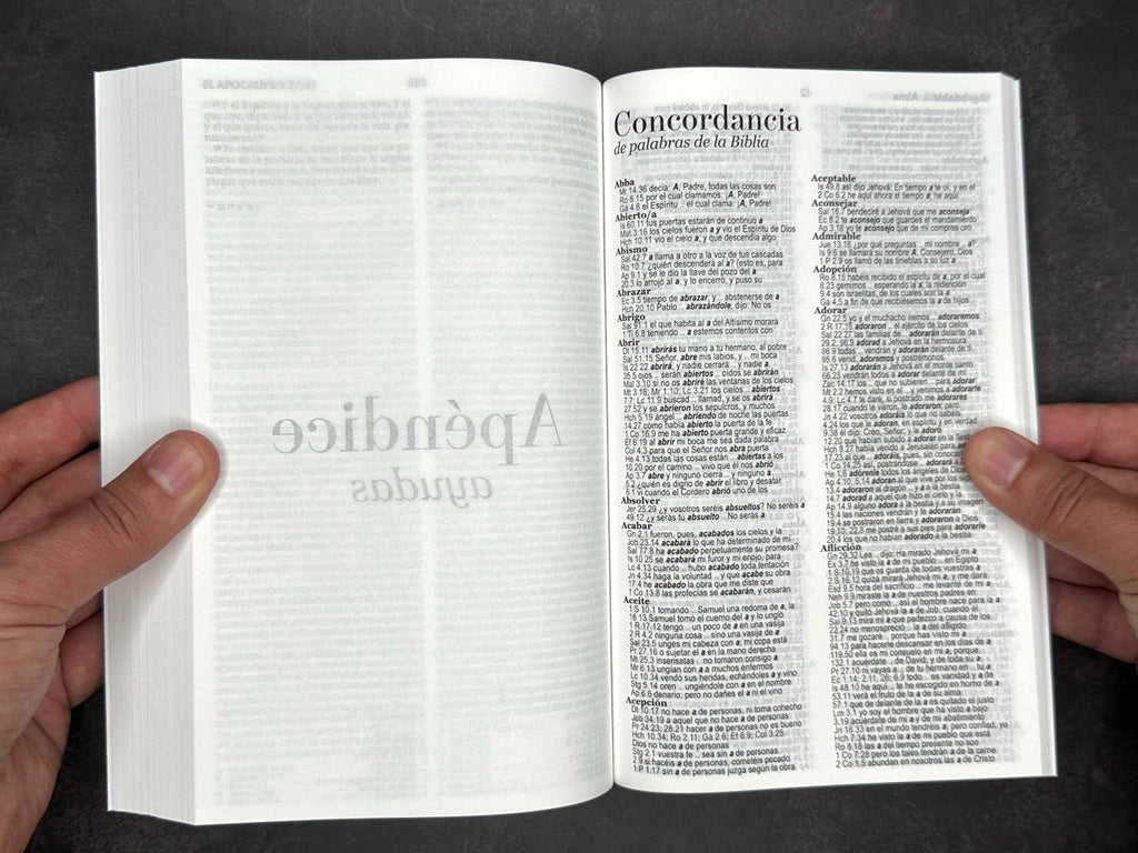 Biblia Economica RVR 1960 rosa
